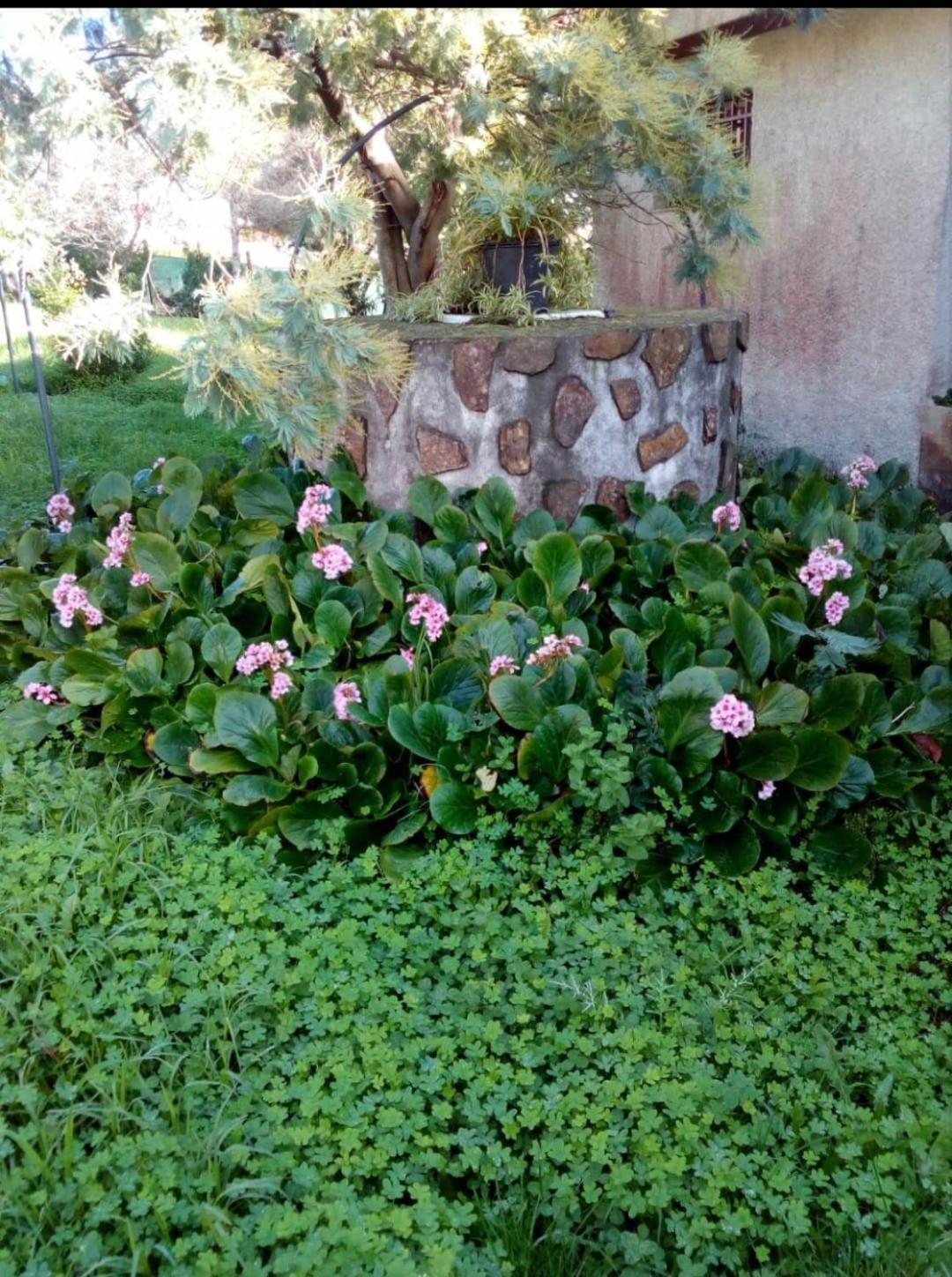 فيلا Casa Tina أغواردا المظهر الخارجي الصورة