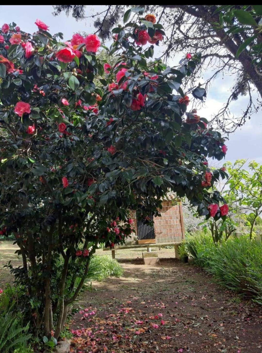فيلا Casa Tina أغواردا المظهر الخارجي الصورة